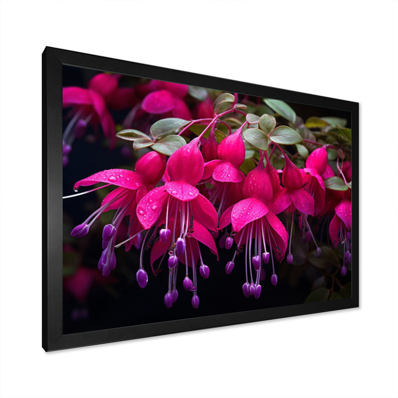 Fuchsia vivace, fleurs II, art mural floral, salon, H 24 po x l 32 po x P 1 po, Cadre simple noir