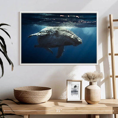 Baleine écumante