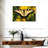 Perched Swallowtail Butterfly-107704704