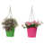 Vert pomme / rose vif