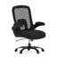 Chaise de bureau ergonomique Hercules Big & Tall
