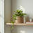 Round Strata Planter MD - Durable Pot For Indoor And Outdoor Use, Perfect For All Plant Types-2091528035-2091528033
