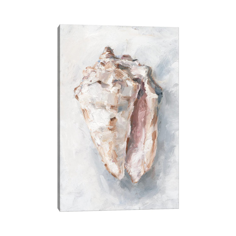White Shell Study II by Ethan Harper - Wrapped Canvas Painting, 101.6 cm H x 66.04 cm W