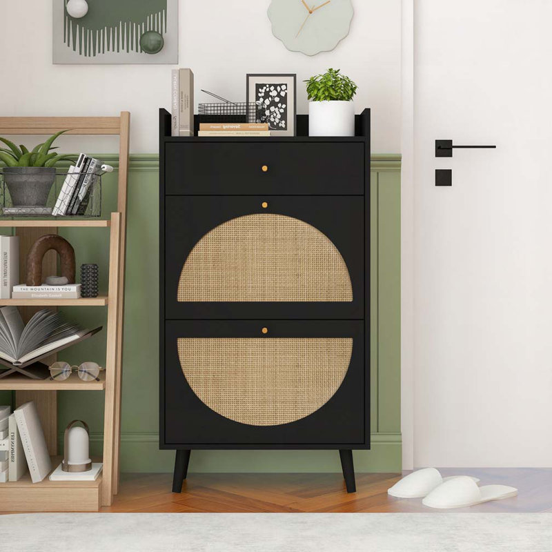 Rotin, armoire à 2 portes et 1 tiroir Allen, range-chaussures, double couche, convient à l'entrée, Noir