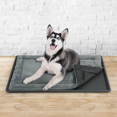 Machine-Washable Dog Bed Pad & Tray for 40.9-Inch Kennel, Non-Slip Flat Cozy Sleeping Mat & Easy-Clean Plastic Replacement Crate Pan, Comfortable & Durable for Dogs, Rabbits, Cats, Various Pets