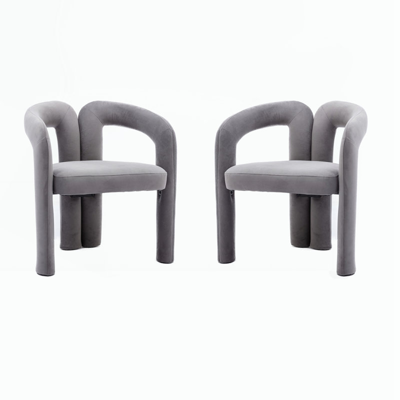 Ensemble de 2 fauteuils pour salon, Gris