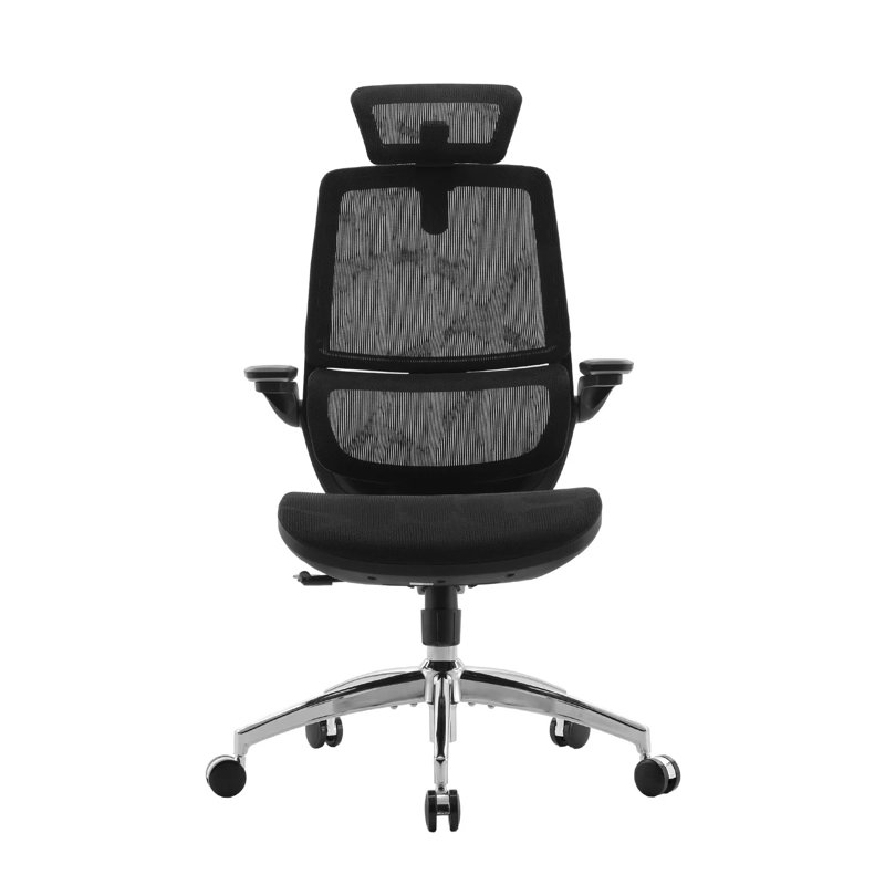 Mesh Office Chair, with Adjustable 3D Folding armrests, Dual-back Design, Black, Black