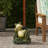 FROG UMBRELLA BASE