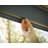 Palram - Canopia Colorado 24' W x 14' D Aluminum Polycarbonate Carport Canopy Gray