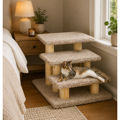 Escalier pour animaux