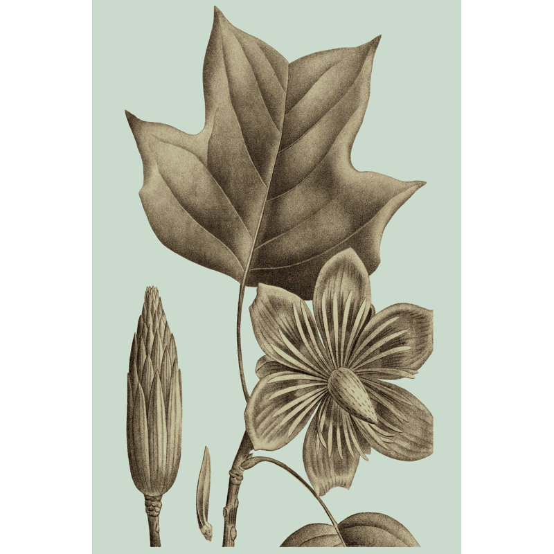 Flowering Trees I by Vision Studio - Wrapped Canvas Painting, 46cm H x 30cm W x 3.8cm D