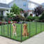Enclos pour animaux robuste-74880981