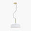 Bautz 1 - Light White/Gold Dome Pendant