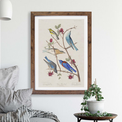 Warbler Bird & Blue-birds by John Audubon - Single Picture Frame Painting