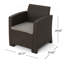Ensemble de 2 fauteuils club d'extérieur en faux osier avec coussins imperméables-1820510343