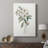 Mountain Laurel I -Gallery Wrapped Cavas-1145549880