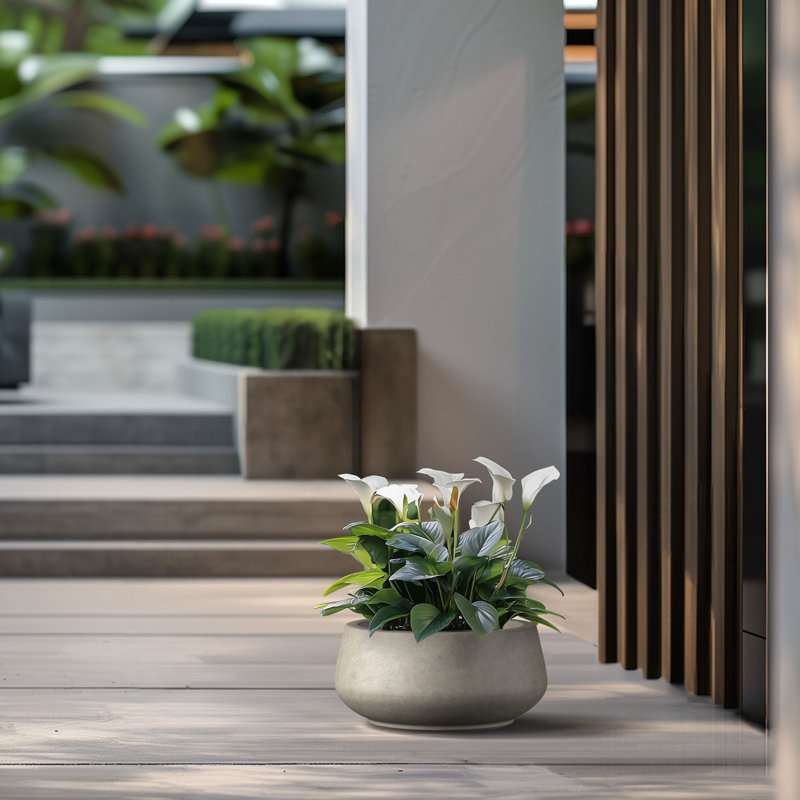 Medium Concrete Round Planter / Pot With Drainage Holes, 7.87" H x 16.93" W x 16.93" D, Light Gray