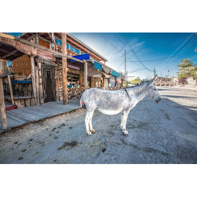 Donkey at Oatman par Steven_Kriemadis
