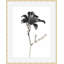 Flora Noir 2 Framed Print-1807569377