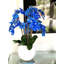 Phalaenopsis Orchid Floral Arrangement in Pot-1766237180
