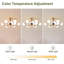 Katheleen 35.4'' Ceiling Fan with 6 Light Kit-1697294090