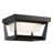 Black LED Outdoor Flush Mount