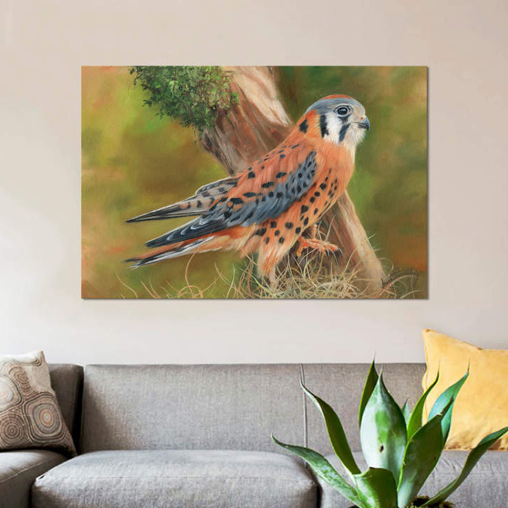 «American Kestrel», impression sur toile, H 18 po x l 26 po x P 1,5 po, Toile tendue, Pas de tapis