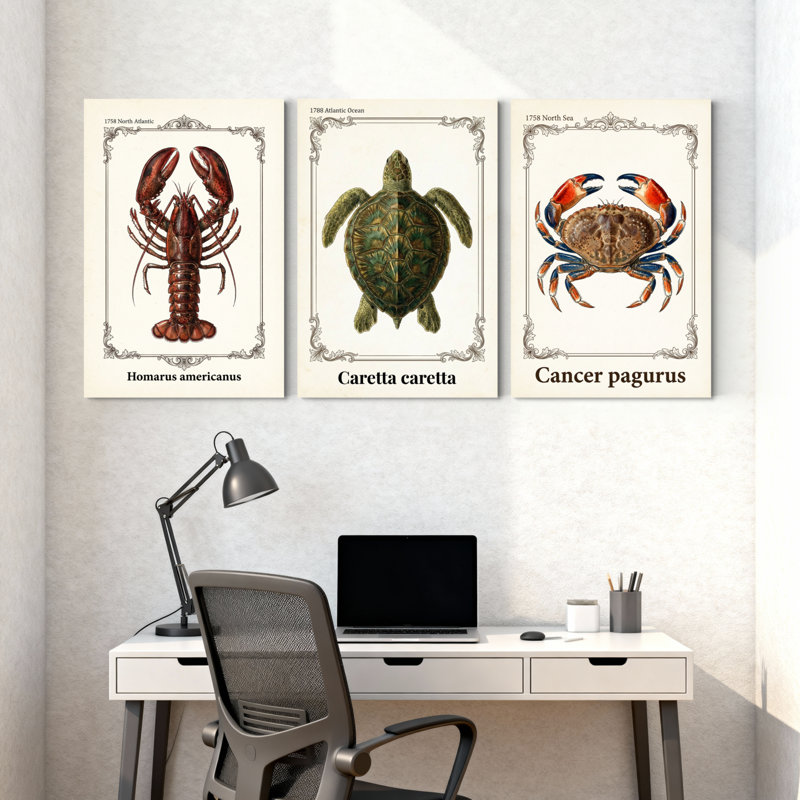 Ensemble de 3 reproductions d'art sur toile, "Lobster Turtle Crab", H 18 po x l 36 po