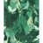 Tonal Green