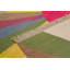 Lodewijk Ikat Hand Woven Area Rug-531919274