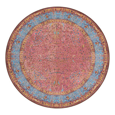 Indoor/Outdoor Traditional Area Rug
