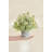 Delicate Fruit In Pot-750916418