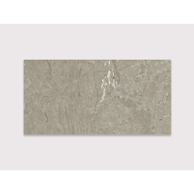 Domo Grigio Scuro 24" x 48"