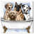 Toile tendue