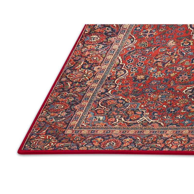 Oriental Indoor Rug, Rectangle 8' x 12'