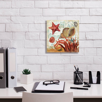 'Shell Collector 1i' by Art Licensing Studio Canvas Wall Art