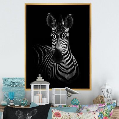 Zebra In Black And White " Zebra In Black And White "