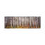 Silver Birch Trees In A Forestnarke, Sweden - Wrapped Canvas Panoramic Print-450931267-507859478