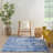 Indoor Rug-315527705