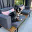 Photos des clients 1 de 1