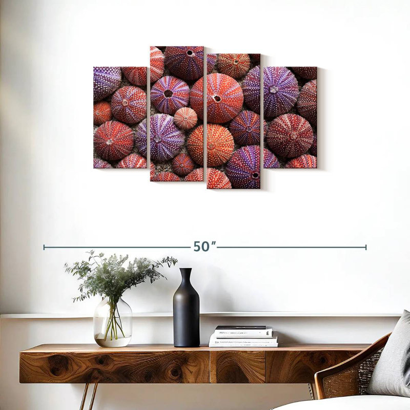 Brampt Empty Sea Urchin Shells, 22" H x 36" W