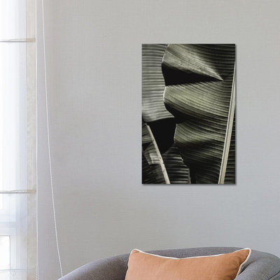 Banana Leaf Green by Monika Strigel - Wrapped Canvas Print
