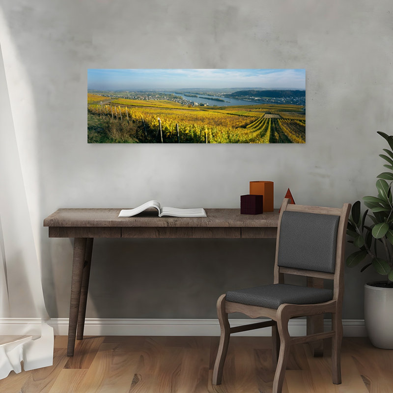 Vineyards Near A Town Rudesheim Rheingau Germany by Hendrik Holler - Wrapped Canvas Panoramic Print, 30.48 cm H x 91.44 cm W