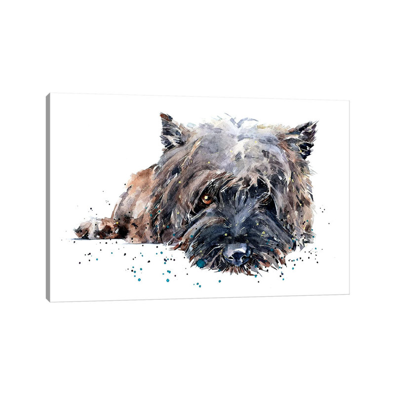 Cairn Terrier - Wrapped Canvas Painting, 20.32cm H x 30.48cm W