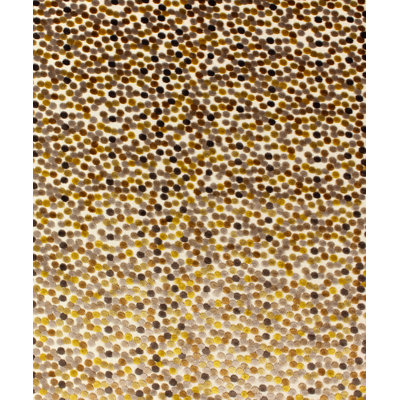 Boutique Fabric