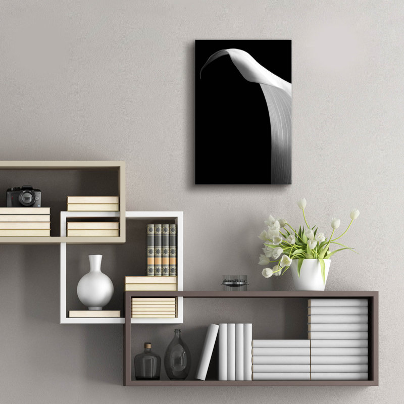 "Lily On Black 01" par Tom Quartermaine, H 24 po x l 16 po