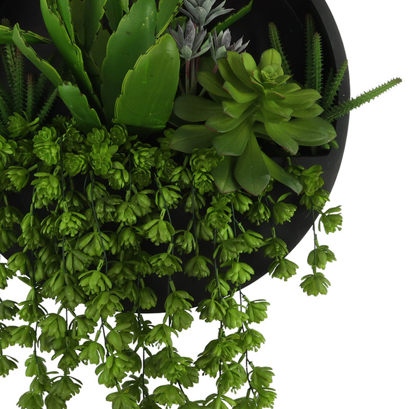Cactus, Sedum et Echeveria disposés dans un pot suspendu en Fiberstone, Noir, H 33 po x l 24 po x P 8 po