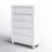 Droskyn 5 Drawer Standard Chest-1799322103
