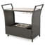 Chariot de bar PE KD-1521004958