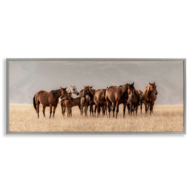 Giclée encadrée du Montana Mares, par Christy Berry, H 13 po x l 30 po, Estampe numérique Farmhouse